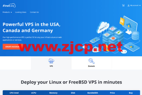 inetWS：美国便宜vps，1核/2GB/30G SSD/100M不限流量，