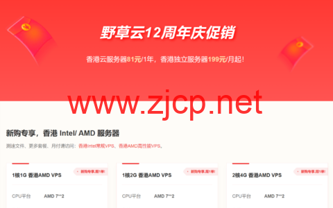 #12周年促销#野草云：香港AMD系列VPS年付81元起，香港独立服务器199元/年起