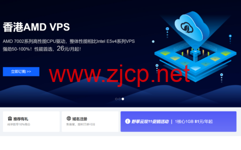 #11.11#野草云：香港VPS年付81元起(AMD+NVMe)，香港独立服务器199元/年起