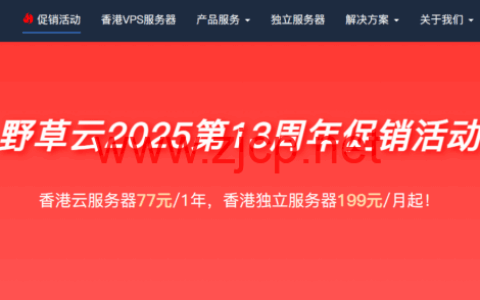 #十三周年促销#野草云：香港VPS年付77元起，香港独立服务器199元/月起，AMD EPYC系列CPU，优质/精品网络可选